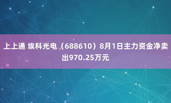 上上通 埃科光电（688610）8月1日主力资金净卖出970.25万元