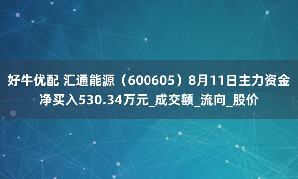 好牛优配 汇通能源（600605）8月11日主力资金净买入530.34万元_成交额_流向_股价